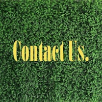 contact us on a green background